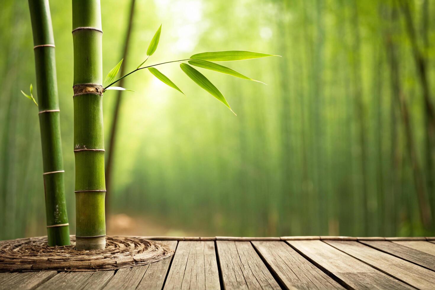Serene Bamboo Forest Scene With Wooden Deck photo