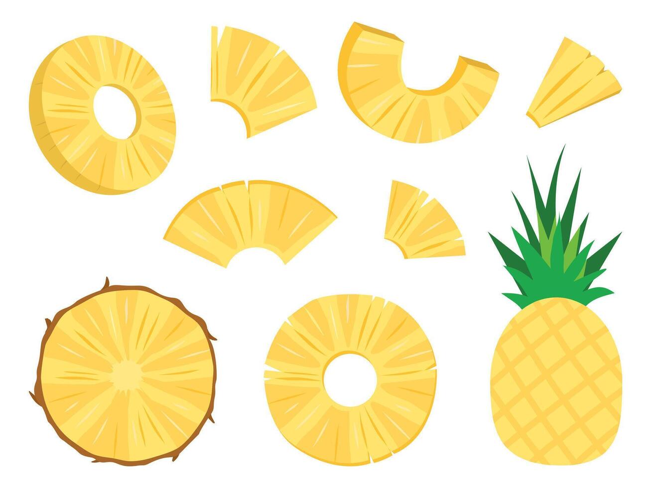 Pineapple tropical fruit illustrations icon set. half and sliced isolated on white background. vector