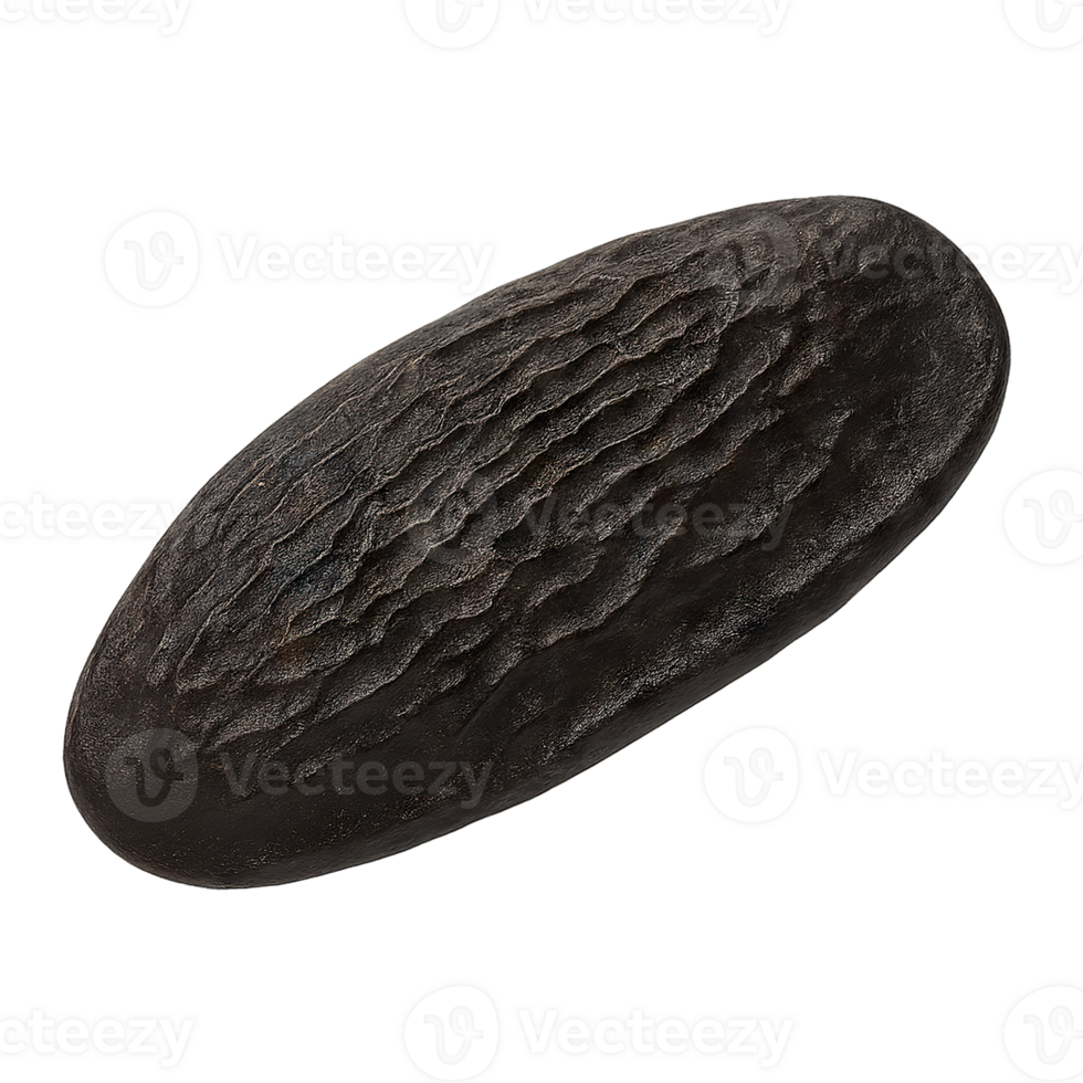 Whole Tonka Bean on Transparent Background png