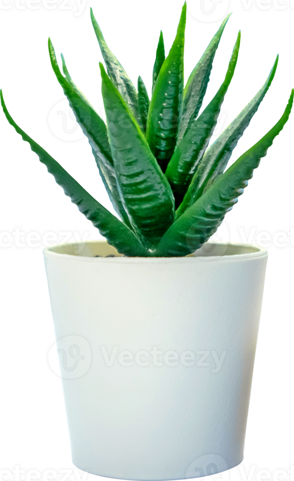 An artificial flower with green leaves in a pot png