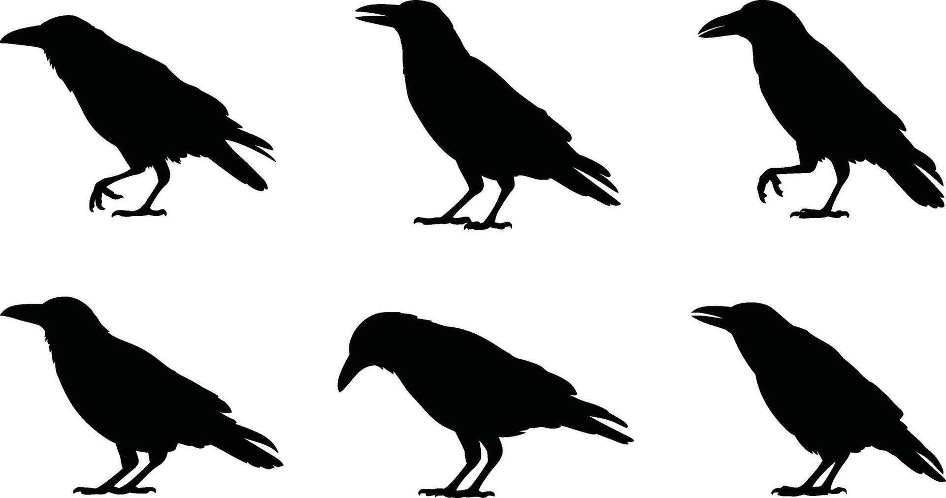 Silhouette of a group of crows in various poses against a white background for design vector