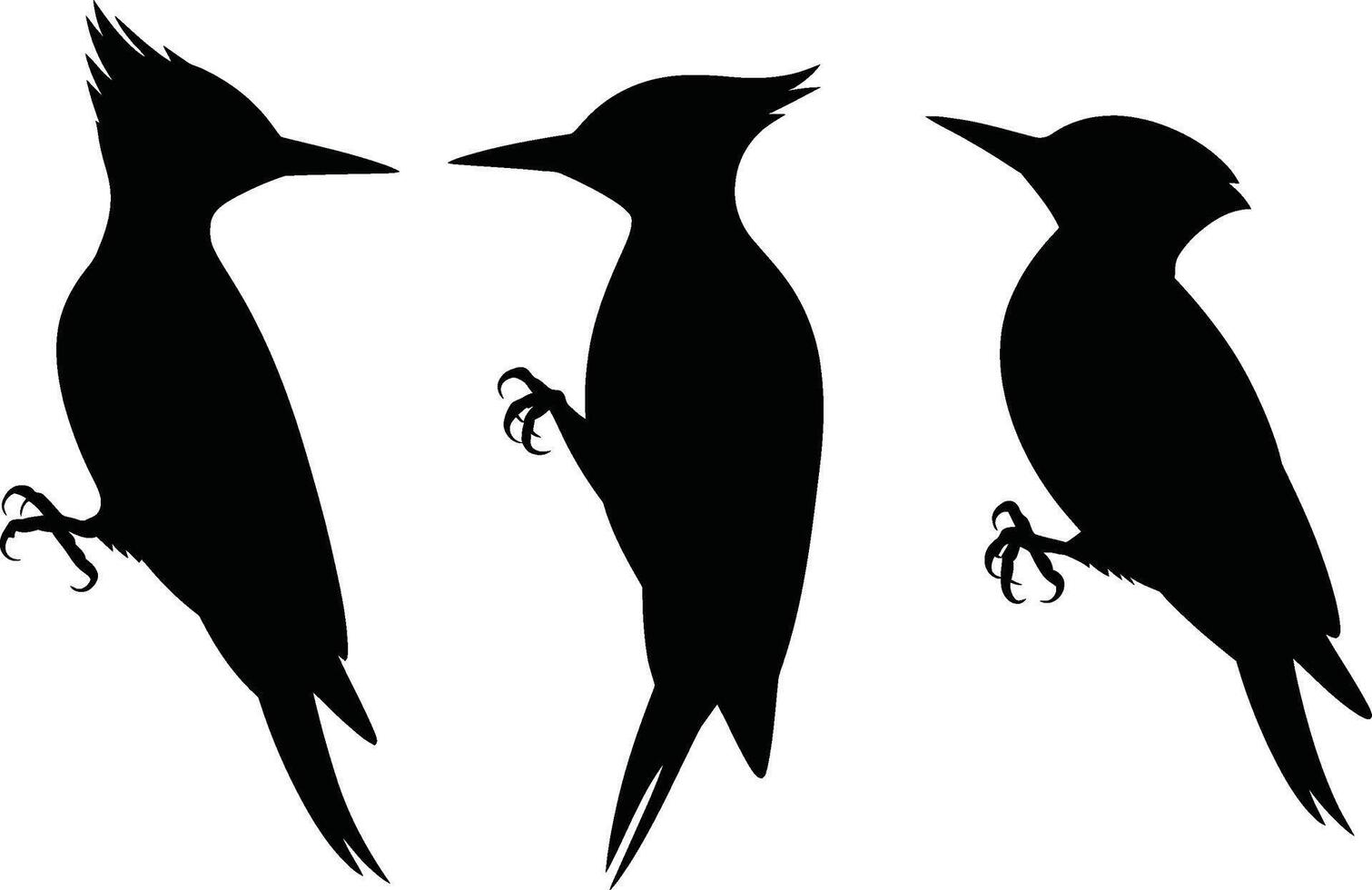 Silhouette illustrations of woodpeckers in various poses against a white background for design projects vector