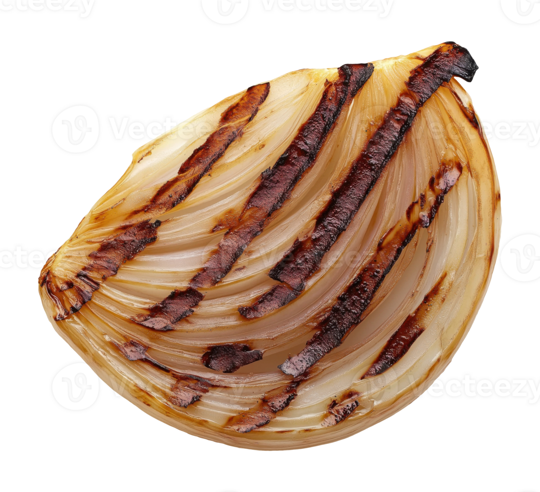 Grilled onion half with grill marks isolated on transparent background png