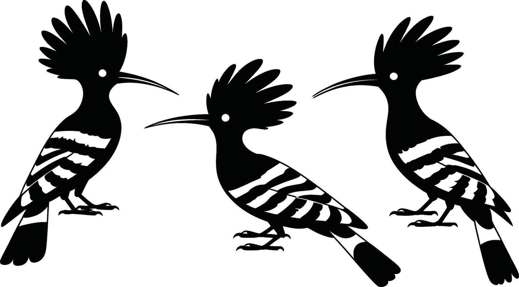 Elegant silhouettes of hoopoe birds in black and white isolated on a clean white background vector