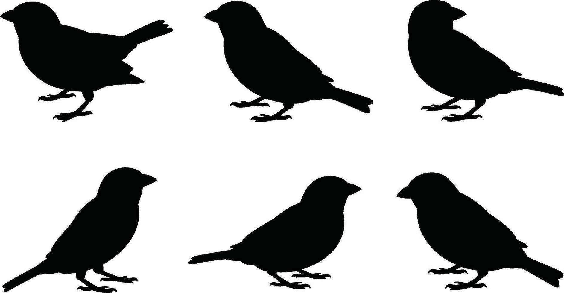 Silhouette collection of six different sparrow bird poses suitable for design and decorative purposes vector