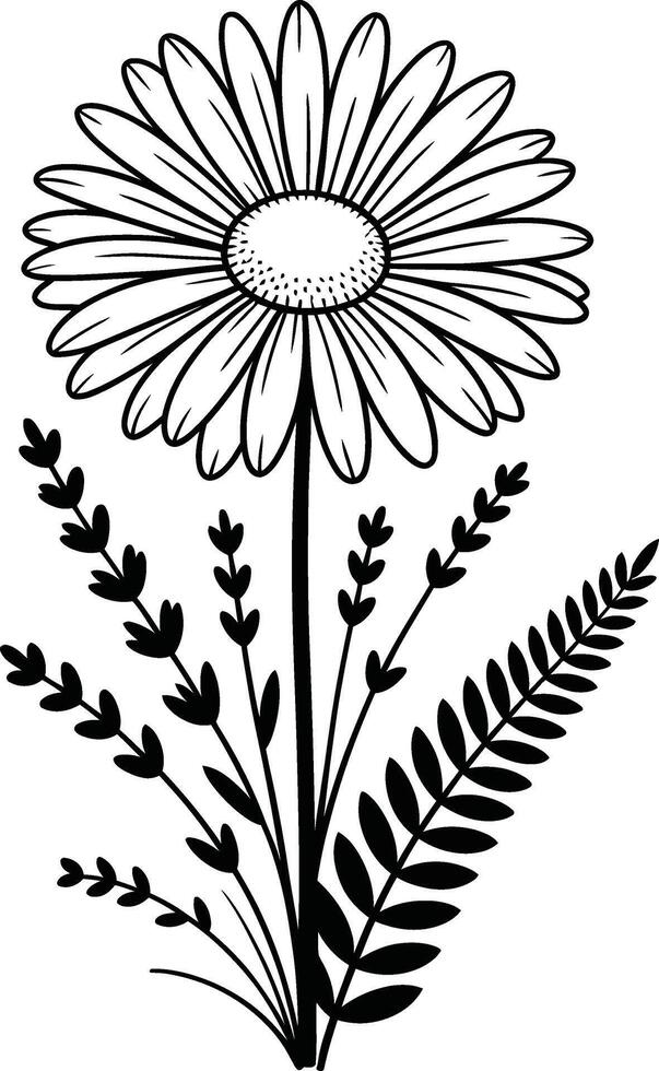 Elegant black and white illustration of a daisy flower with supporting foliage and botanical elements vector