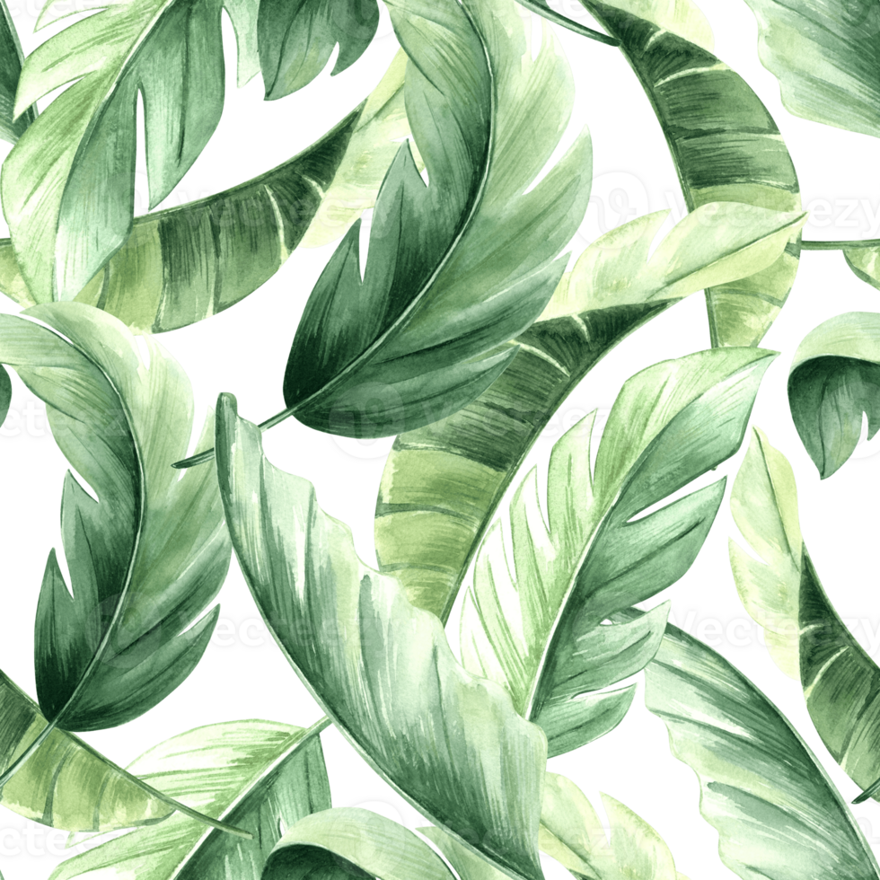 Tropical palm leaves watercolor seamless pattern for spring rainforest designs. Hand drawn botanical illustration with large jungle plants. Green background of lush bananas foliage in realistic style. png