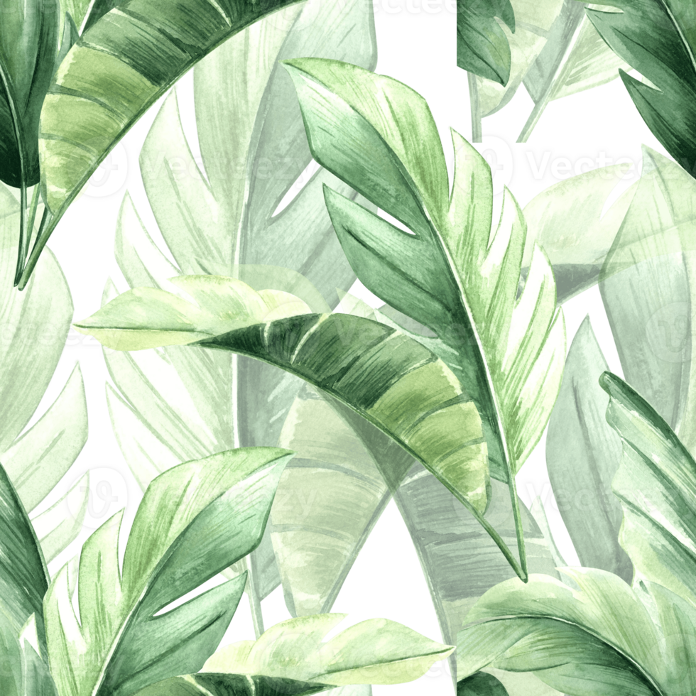 Tropical palm leaves watercolor seamless pattern for spring rainforest design. Hand drawn botanical illustration with large jungle plants. Green background of lush bananas foliage in realistic style. png