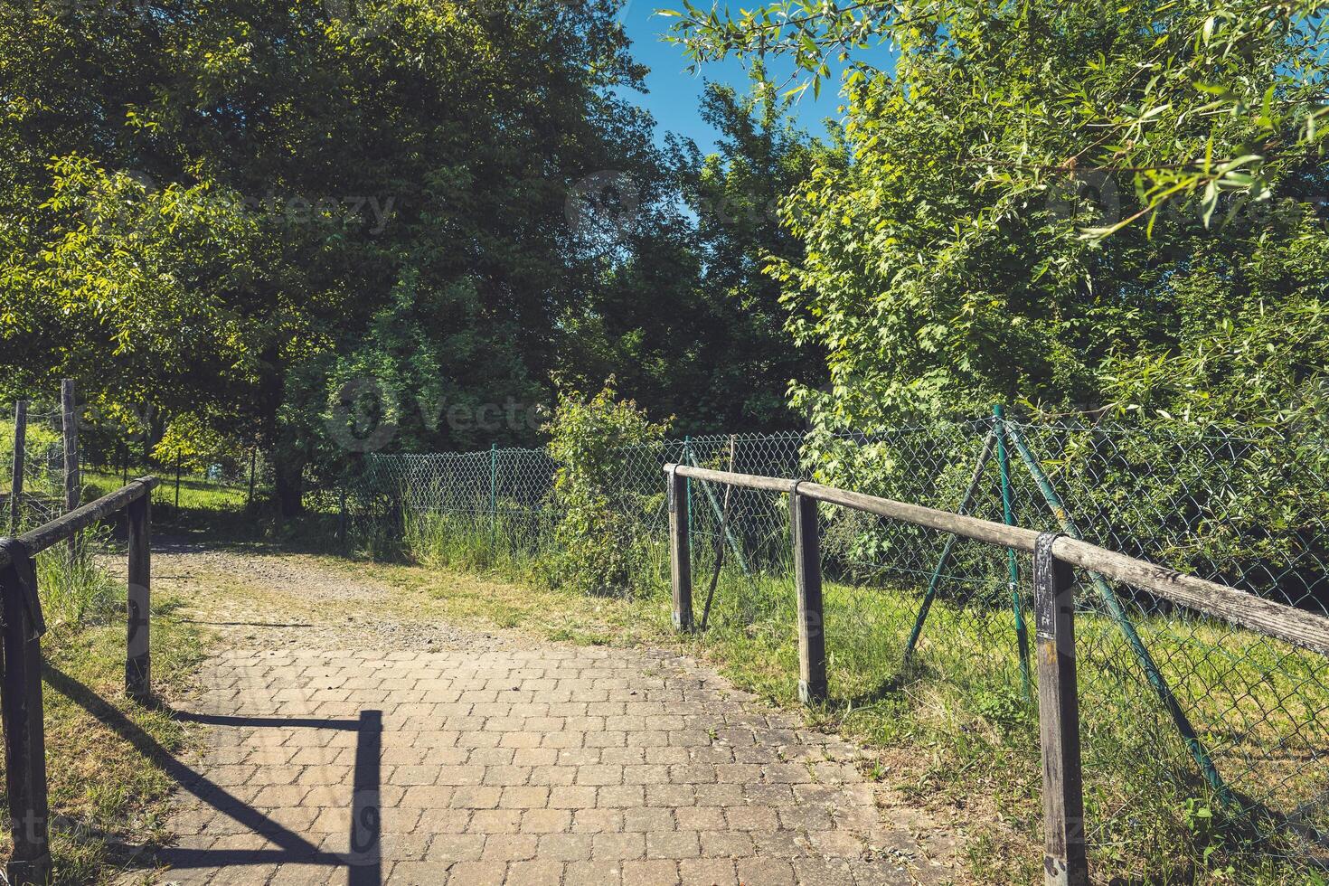 Serene pathway leading into a lush forest on a bright sunny day in a quiet countryside setting photo