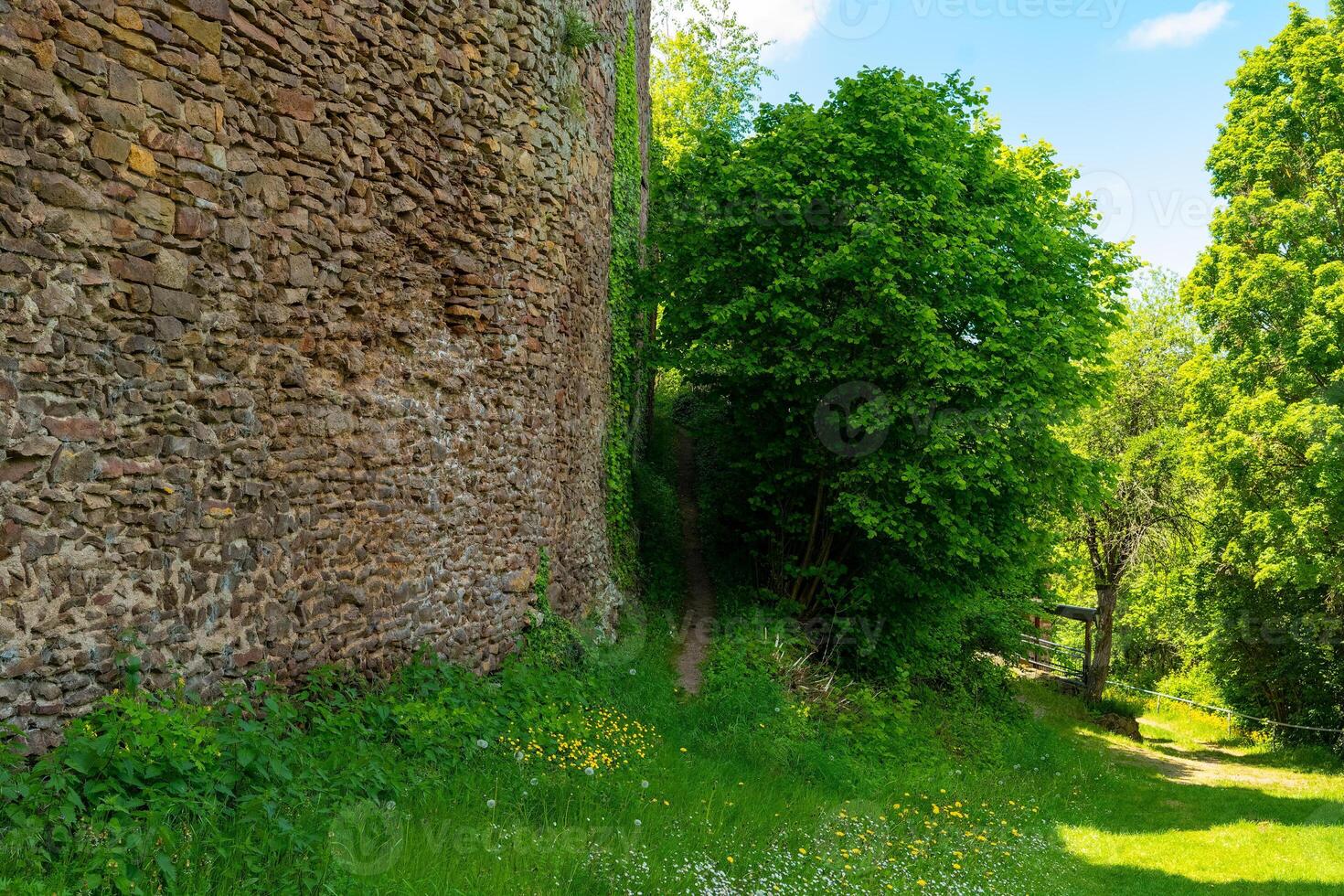 Exploring the lush greenery surrounding an ancient stone wall under a bright blue sky photo