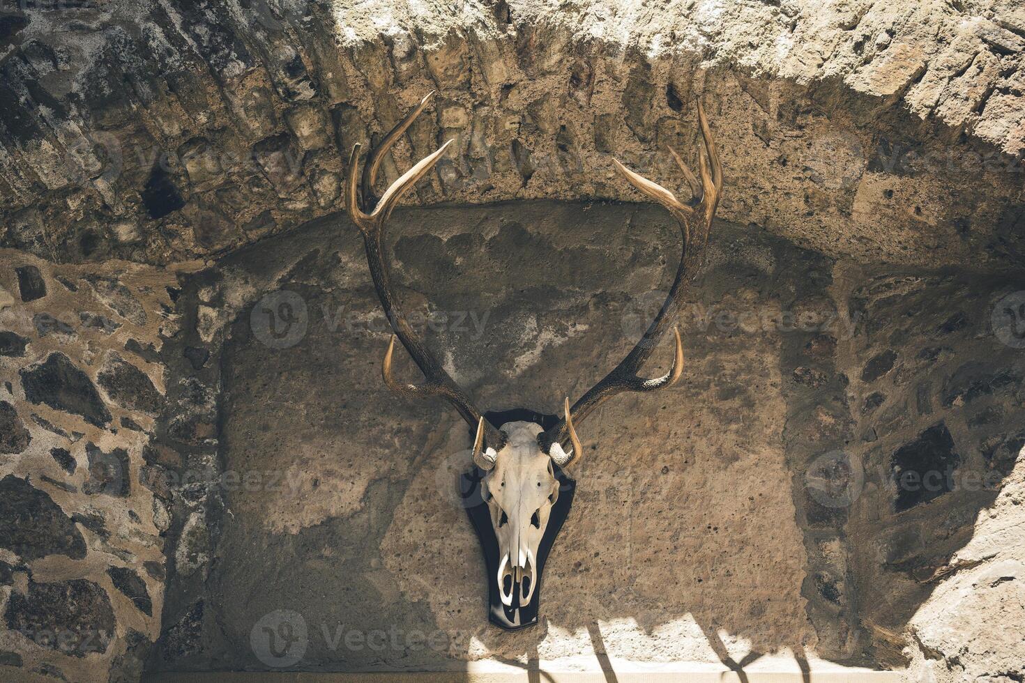 Unique deer skull art hanging on stone wall in rustic cabin during daylight photo