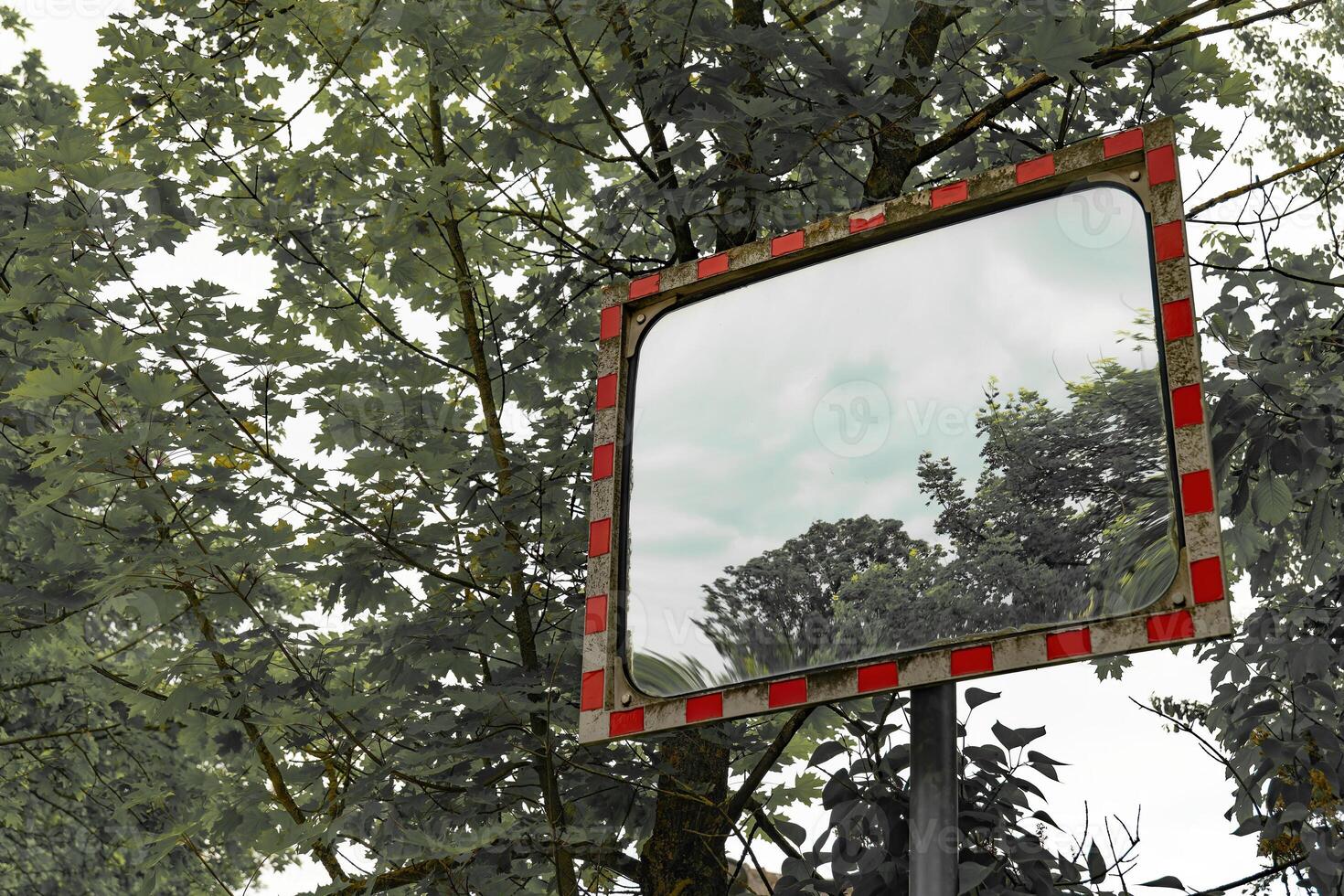 Reflections of nature in a weathered roadside mirror surrounded by lush greenery in a tranquil setting photo