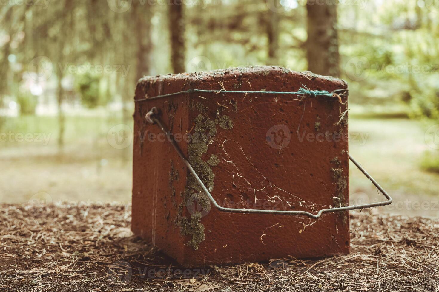 Weathered clay box resting on a forest floor surrounded by lush greenery under soft, diffused sunlight on a serene afternoon photo