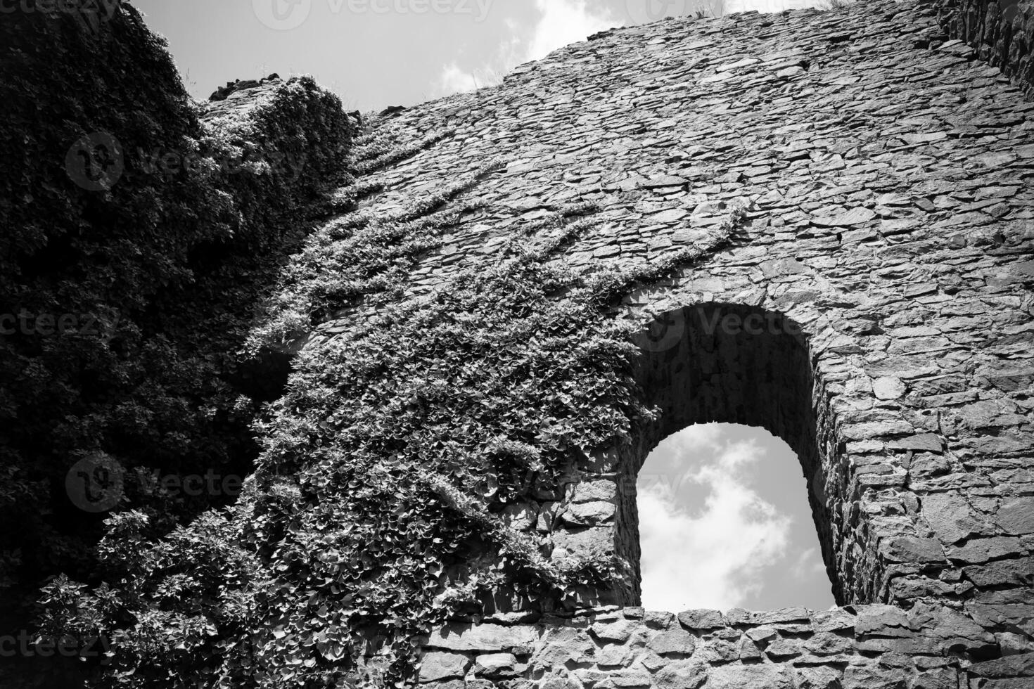 Ancient stone ruins entwined with greenery under a cloudy sky reveal nature's slow reclaiming of history photo