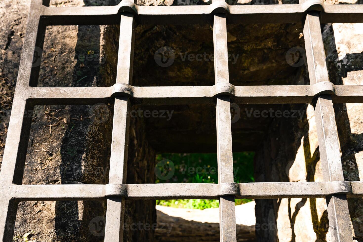 Intricate metal grate overlooking lush greenery in a hidden historic site at midday photo