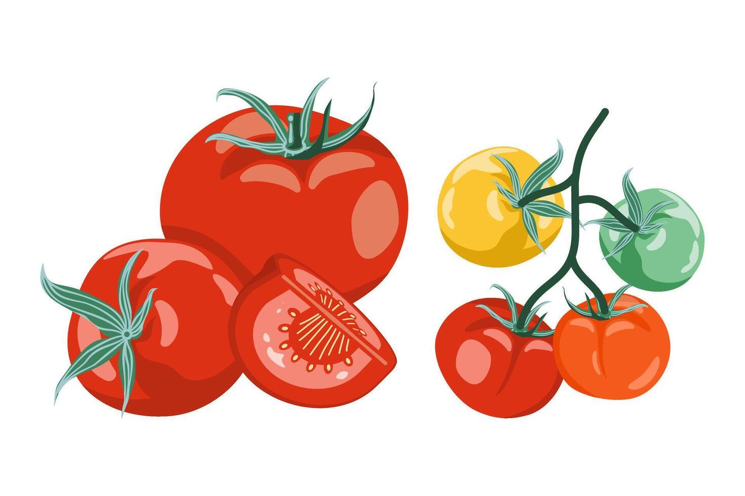 Illustration of red, orange, yellow, and green tomatoes, including whole and sliced. Fresh vegetable graphic. vector