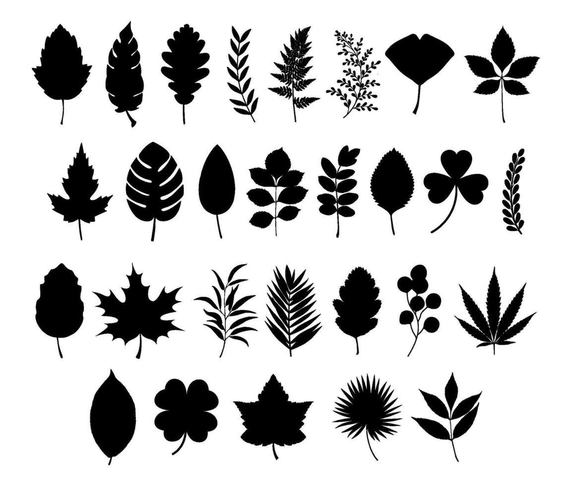 leaf silhouette image collection vector