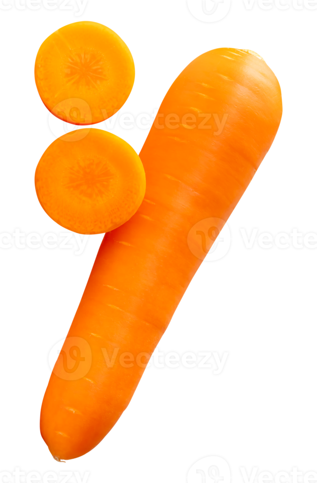 Side view of one fresh orange carrot root with slices in circles in stack isolated with clipping path in file format png