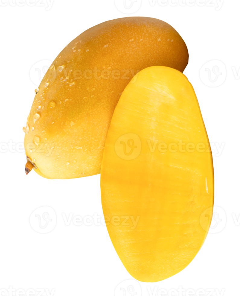 A ripe yellow mango fruit with half and water droplets in stack isolated with clipping path in file format png