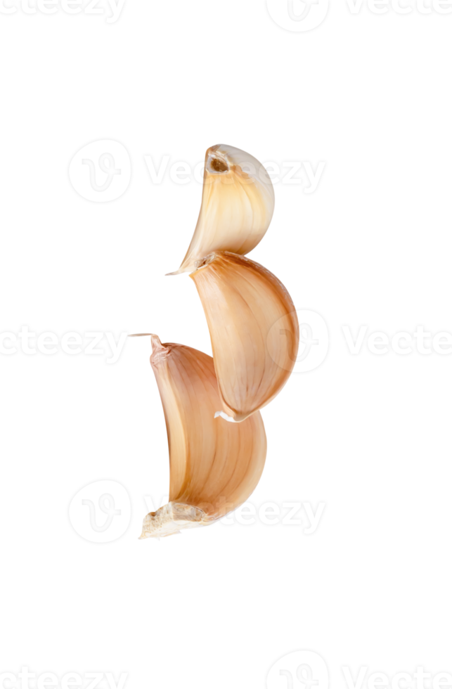 Side view of three unpeeled garlic cloves or pieces in stack isolated with clipping path in file forma png