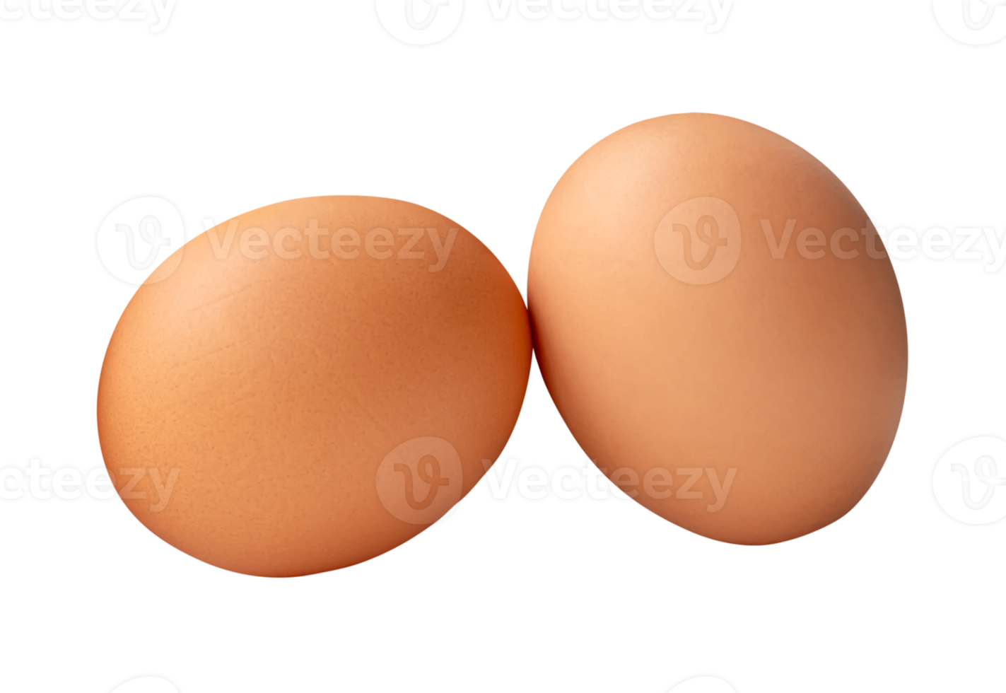 Two brown chicken eggs in stack isolated with clipping path in file format png