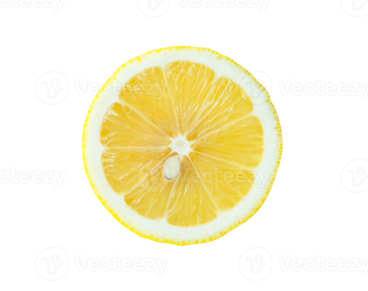 Front view of ripe yellow lemon fruit in one half with seed isolated with clipping path in file format png