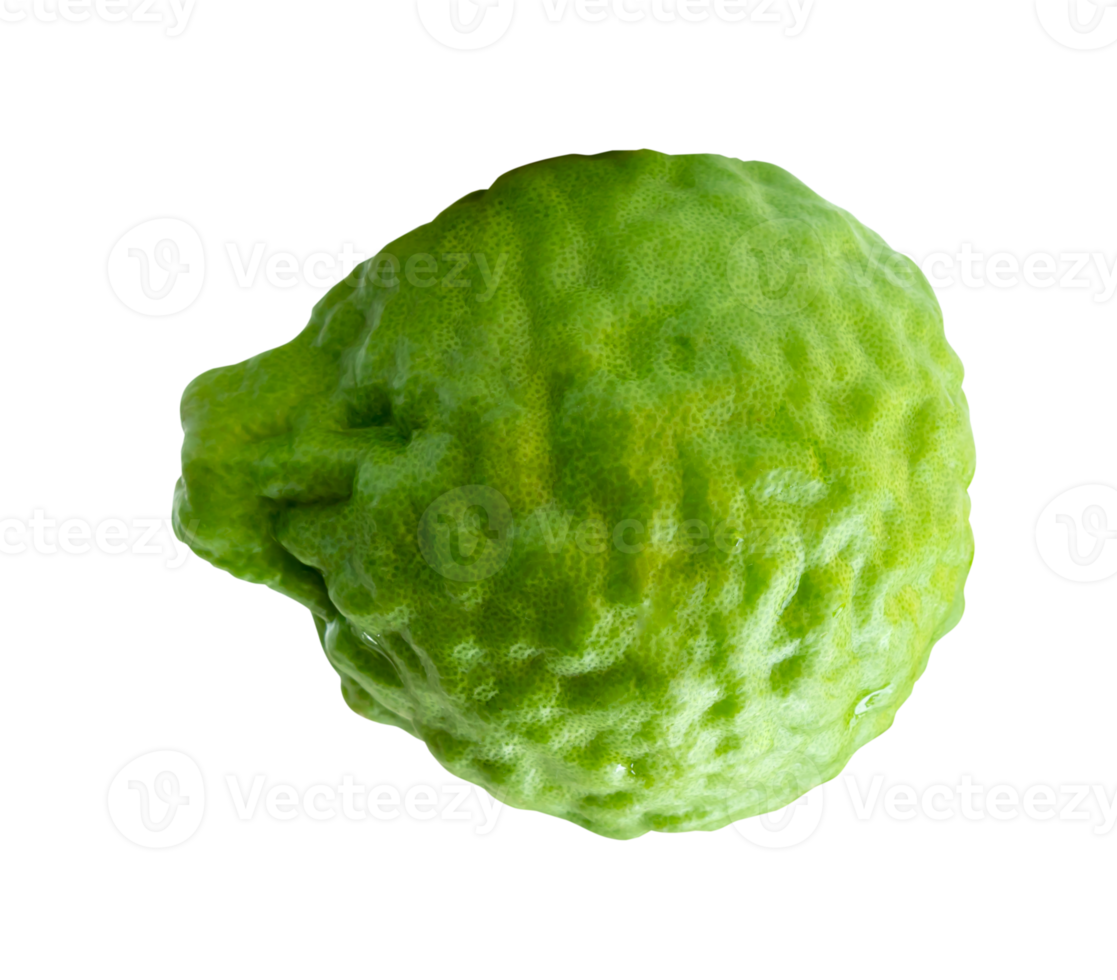 A bergamot fruit or kaffir lime isolated in file format png