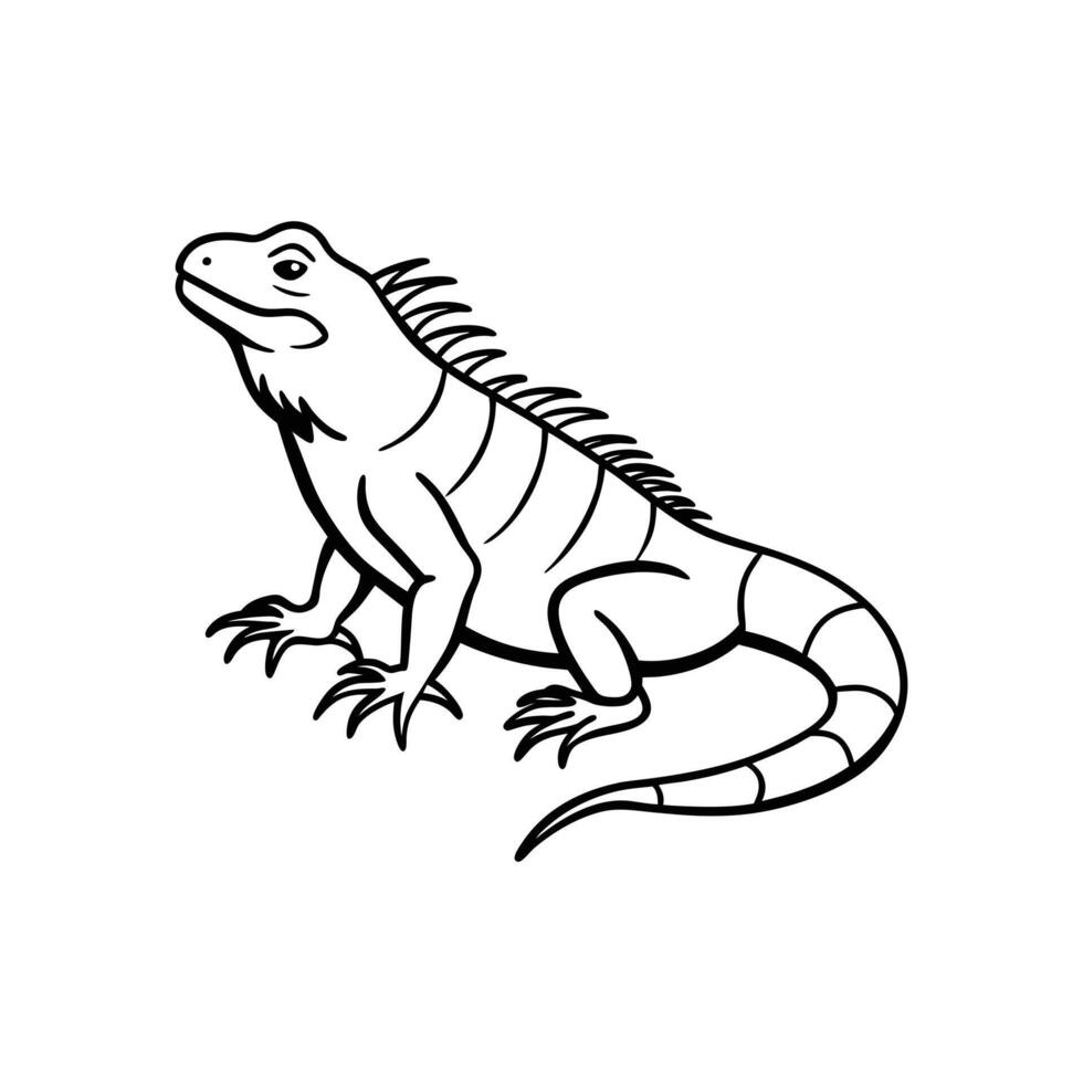 Iguana On White Background vector