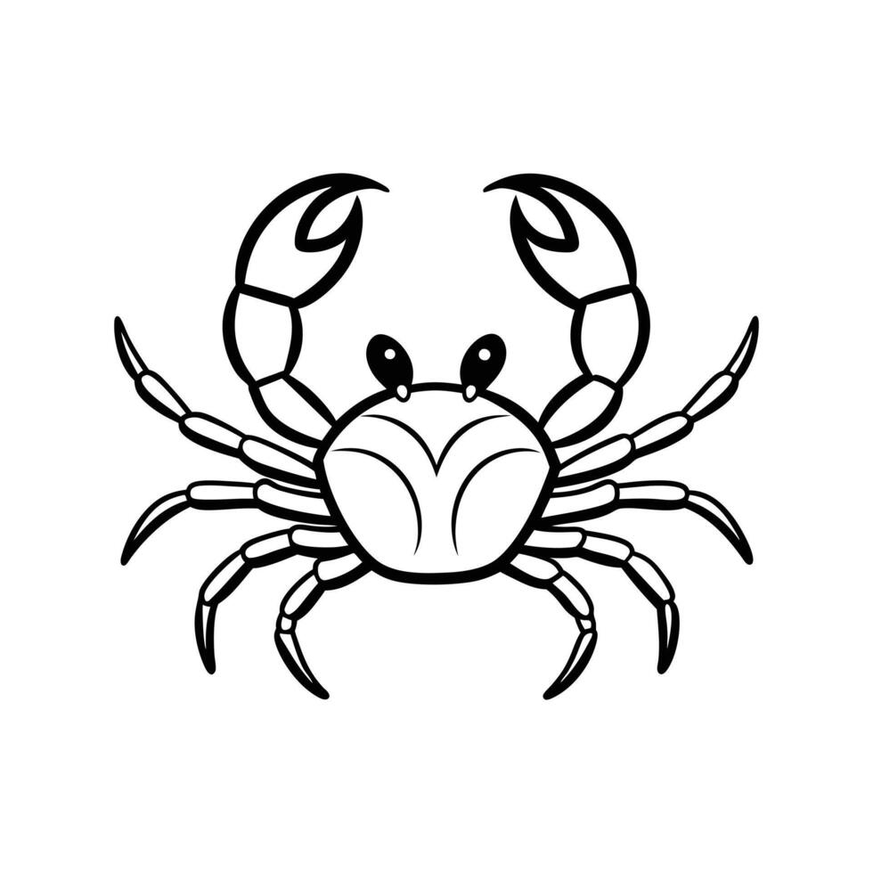 Fiddler Crab On White Background vector