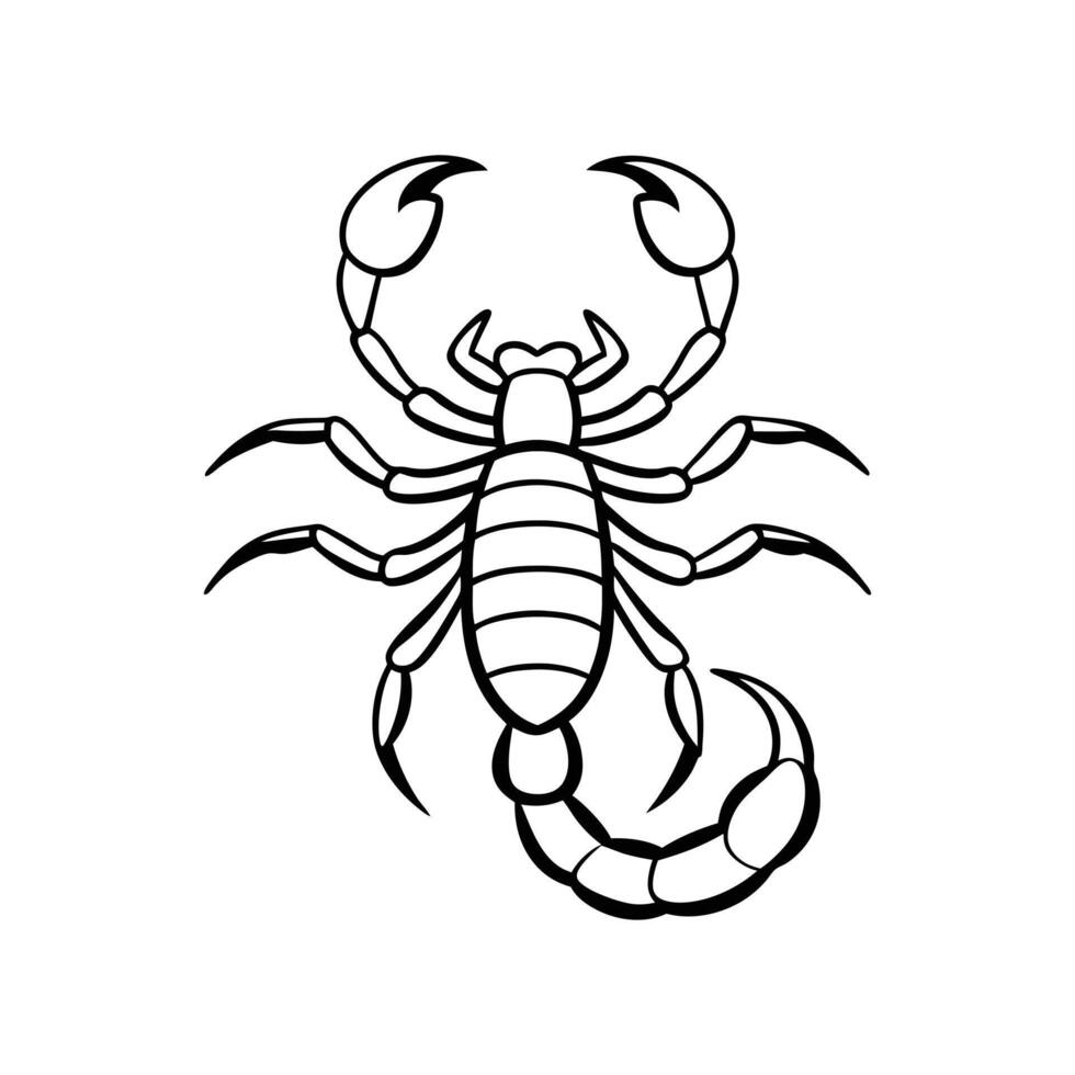 Emperor Scorpion On White Background vector