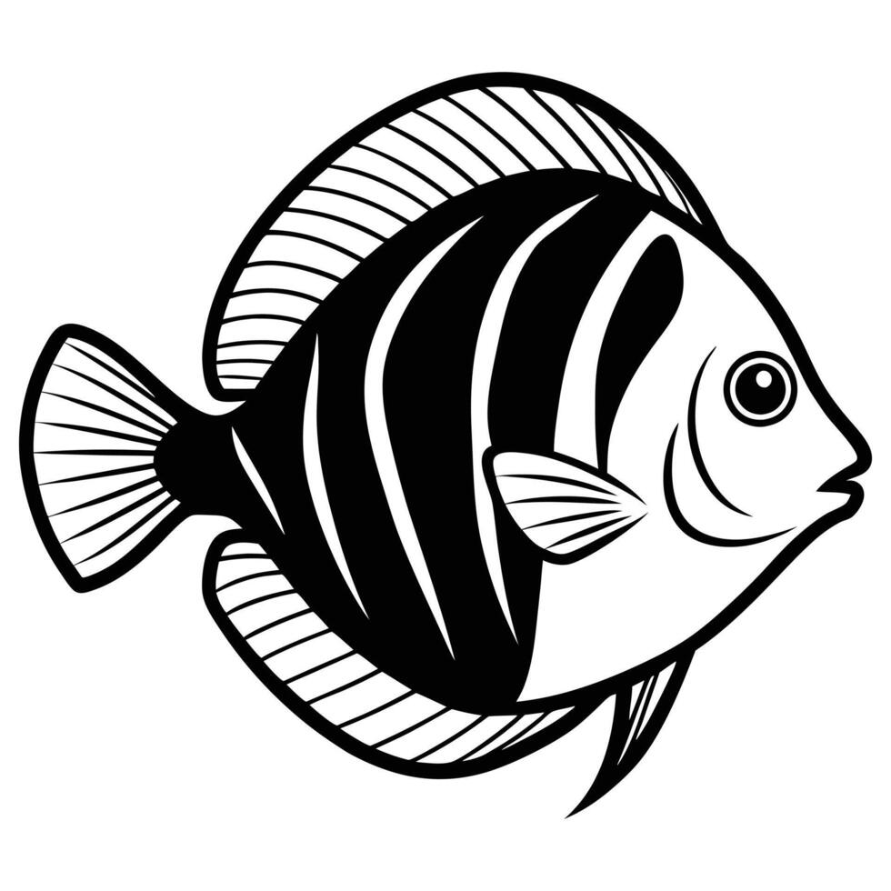 Discus Fish On White Background vector