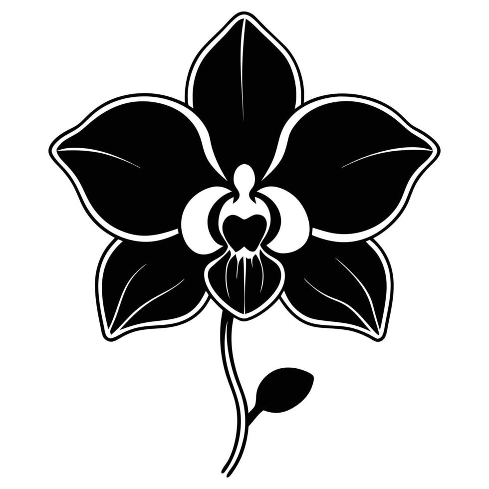 Orchid Silhouette On White Background vector