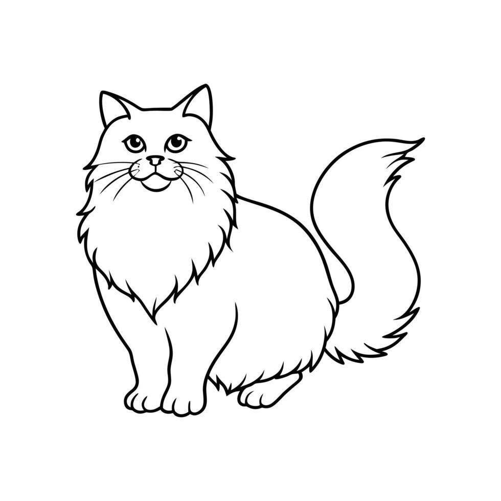 Himalayan Cat On White Background vector