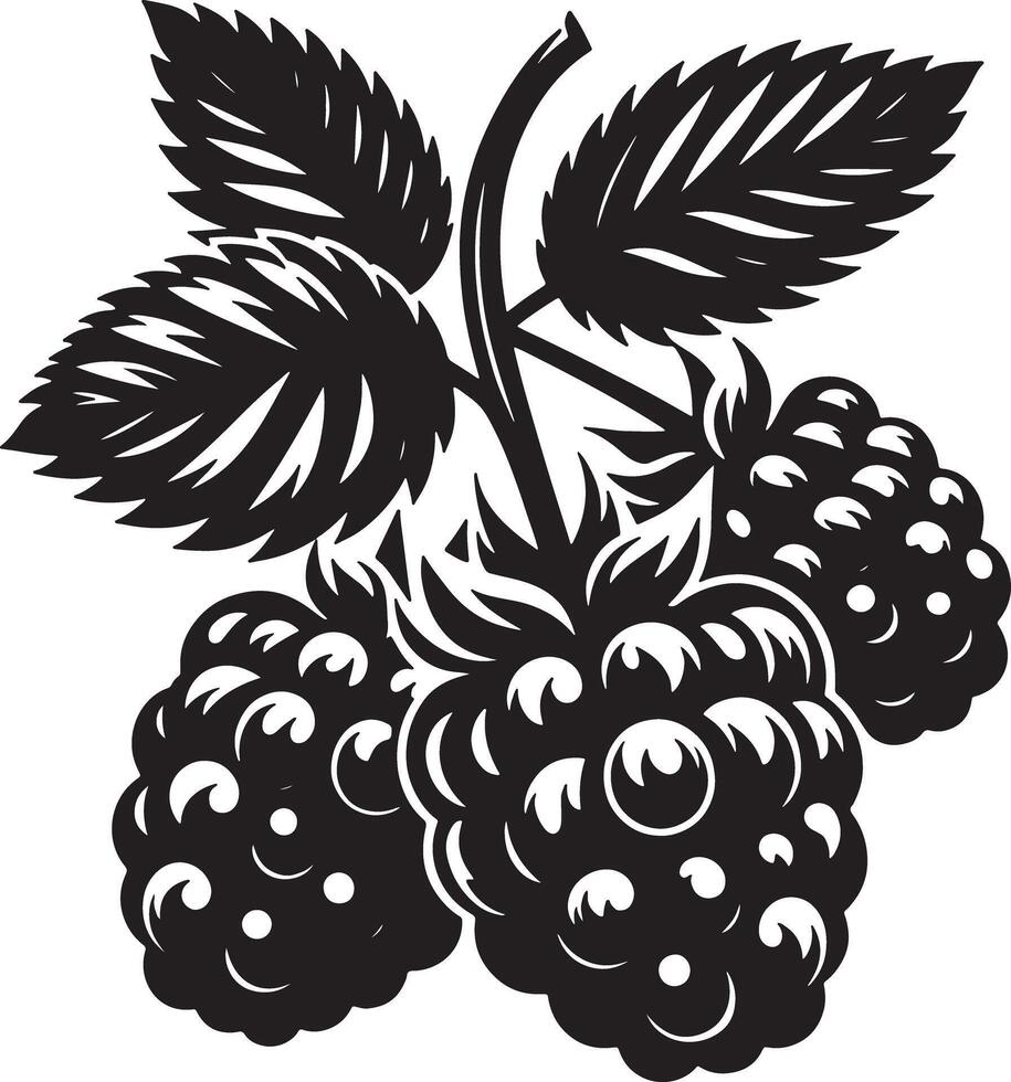 A monochrome depiction of blackberries with leaves on a white background art vector