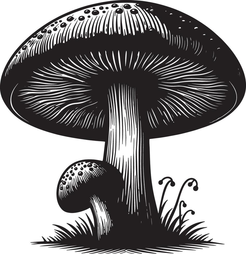 A black and white illustration of two mushrooms with grass on a white background vector