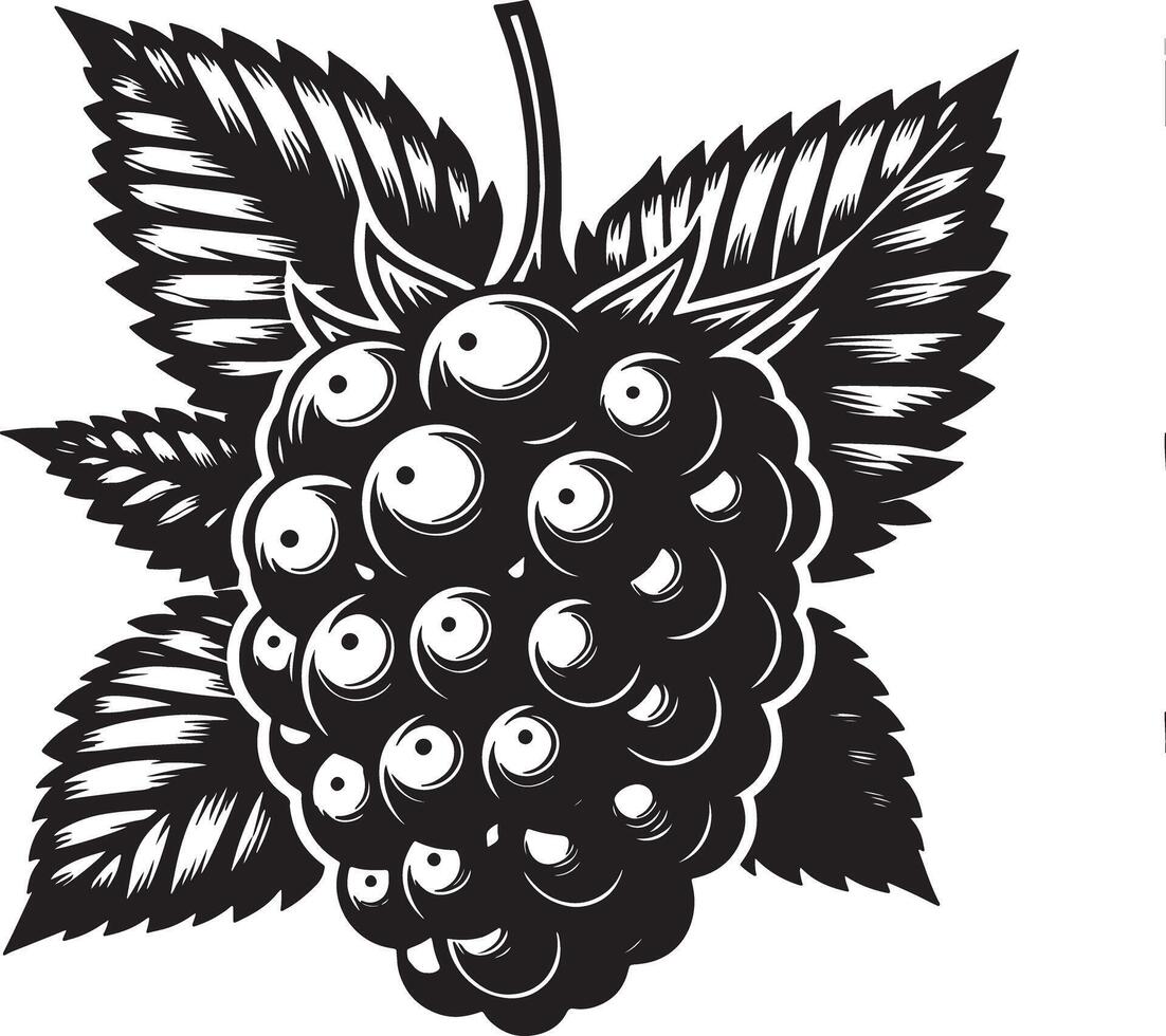 Monochrome illustration of a blackberry with leaves on a white background image art vector
