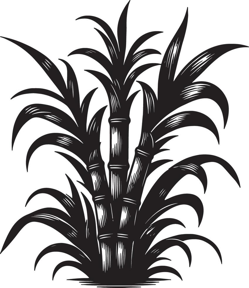 A monochrome illustration of a sugarcane plant with detailed leaves and stalks art vector