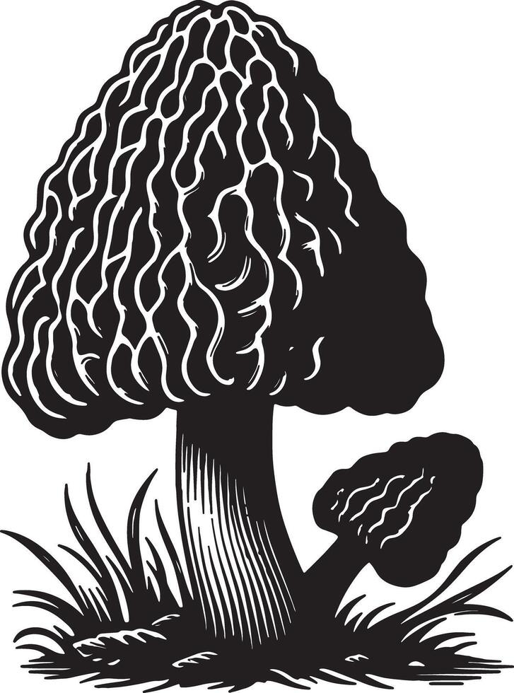 Black and white illustration two morel mushrooms with grass on a white background vector