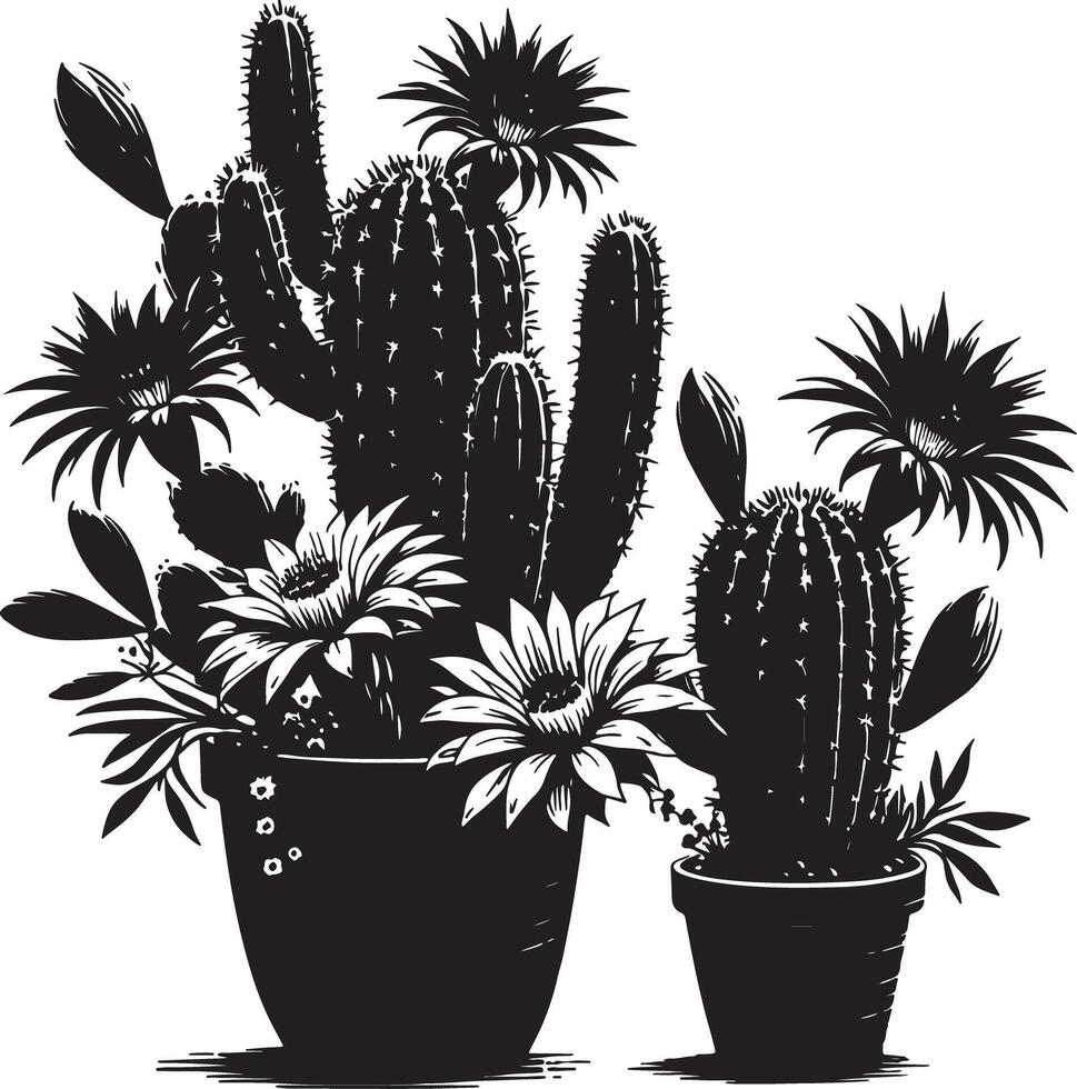 Black and white illustration of potted cacti with blooming flowers and sharp thorns vector