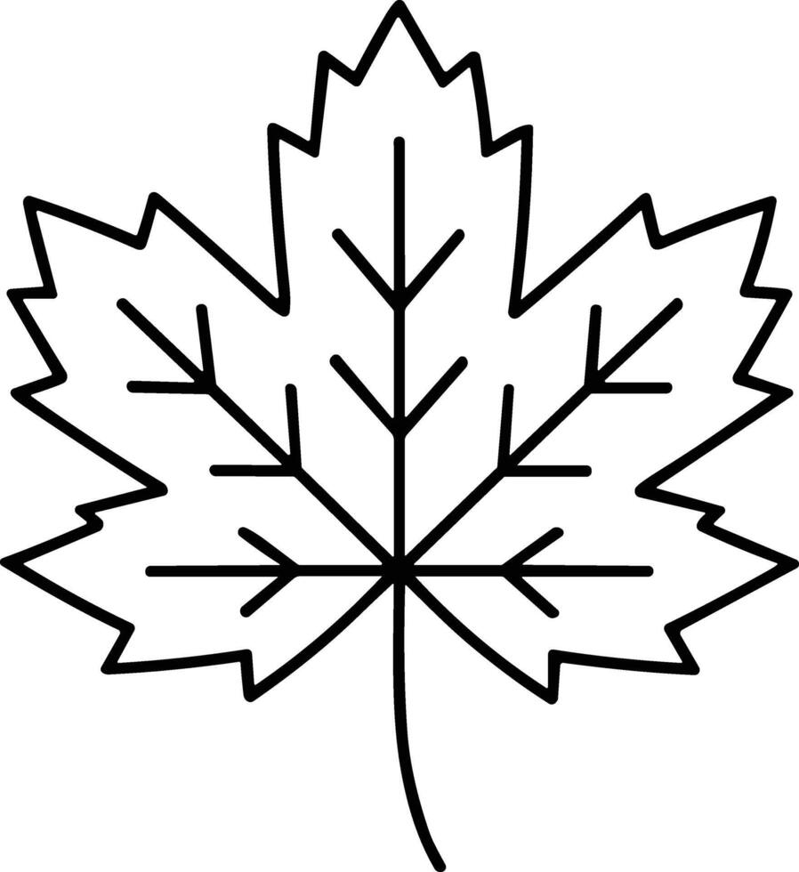 Maple Leaf Line Art - Simple Thanksgiving and Autumn Season Illustration vector