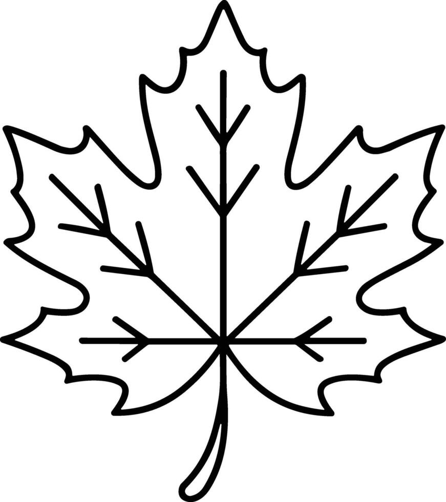 Maple Leaf Line Art - Minimalist Fall and Thanksgiving Illustration vector