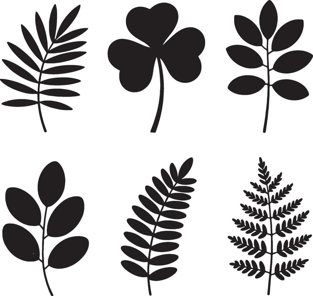 Black and white botanical illustration set featuring fern shamrock and leaf silhouettes vector