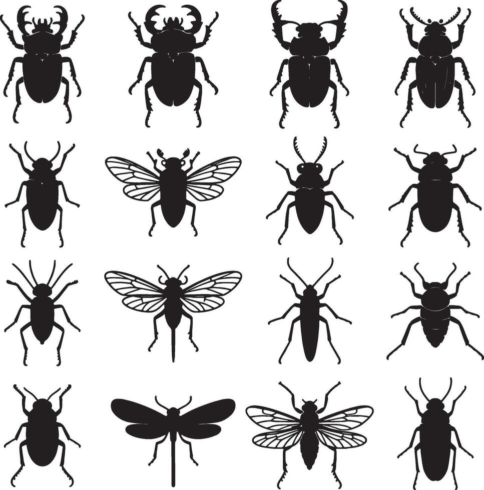 Insect silhouette collection beetles and winged bugs graphic set illustration vector