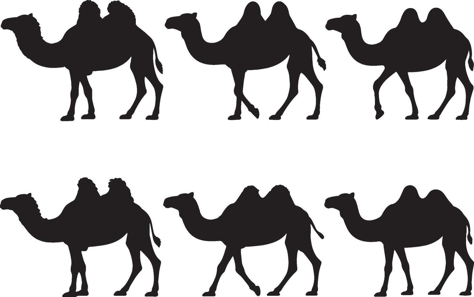 Six silhouettes of camels bactrian dromedary desert animals vector