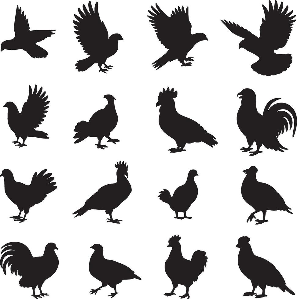 Collection of silhouettes various birds poultry vector