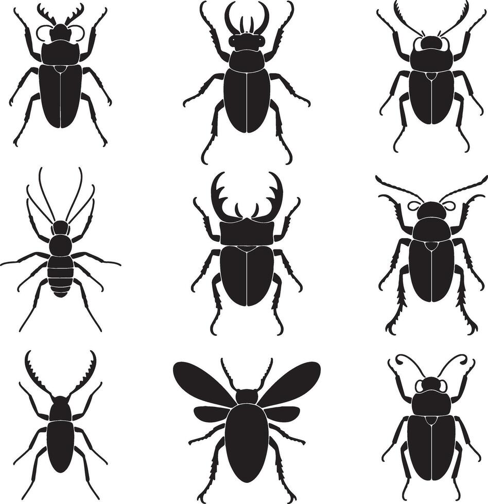 Collection of nine black silhouettes of beetles vector