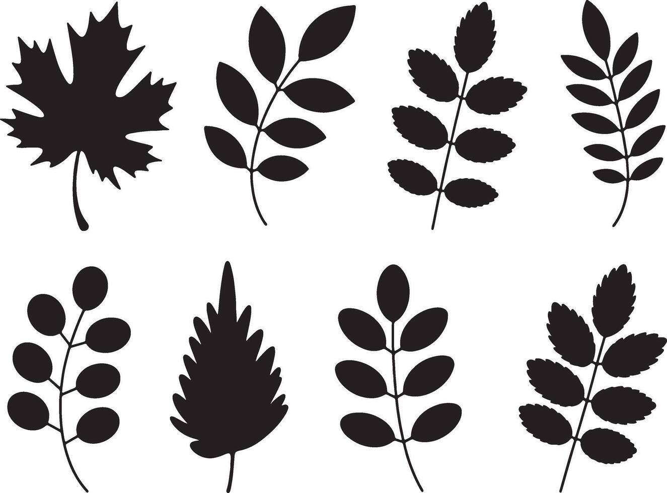 Eight black silhouettes of various leaves and branches vector