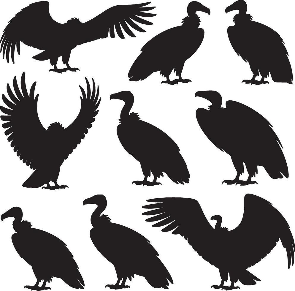 Nine vulture silhouettes various poses bird wildlife vector