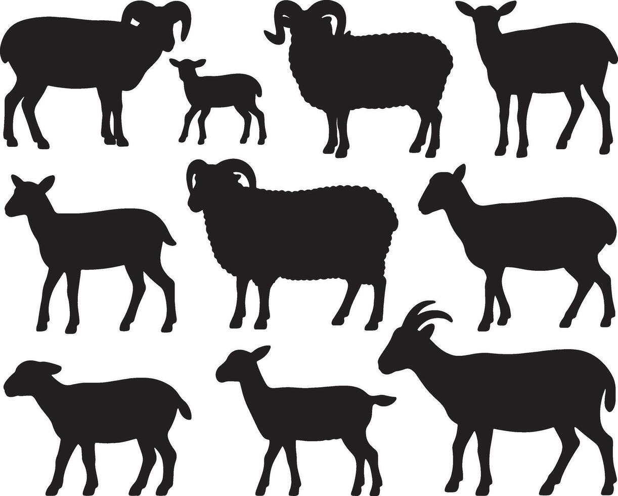 Sheep goat silhouettes farm animals collection vector