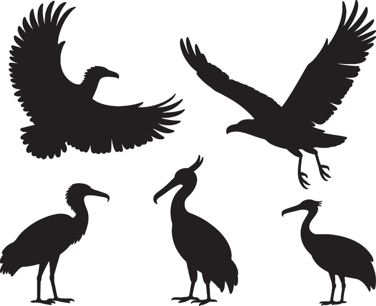 Bird silhouettes collection flying birds wading birds vector